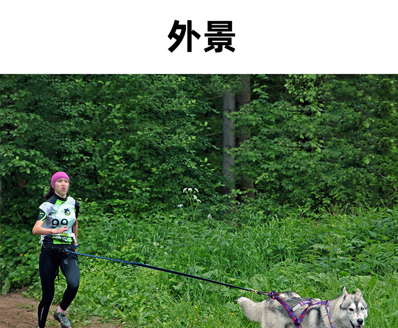 雪橇犬胸背带_07
