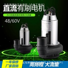 48V60V有刷直流潜水泵户外农业灌溉电动车抽水泵三寸直流潜水电泵