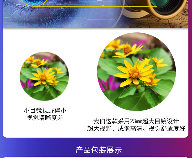 海盗25X50-康耐斯2021-12-13-详情图_15.j