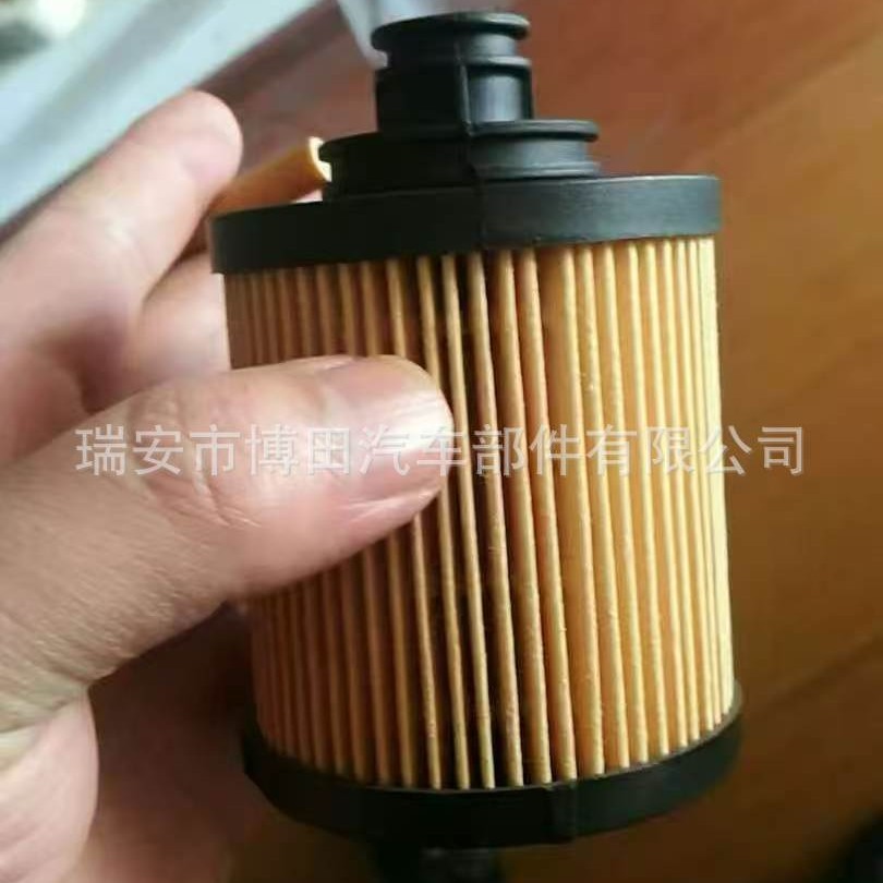 Original Factory Oil Filter Element 5650367 55197218 93193573 16510-M-86J20 1651