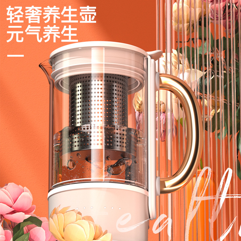 Reiben Mini Health Pot Multifunctional Tea Cooker Office Small Kettle Mini Stewer Decoction Pot