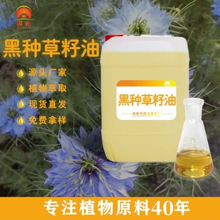 �������ϏS�ڷN�������o�w�ڰl�o�lֲ����A�����l �ڷN������