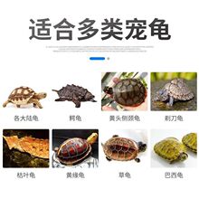 榄仁叶龙眼叶养龟腐皮乌龟造景水族桂圆树叶子调节改善水质免煮