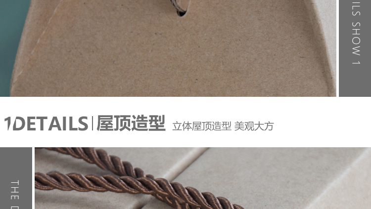 西红柿-细节_02