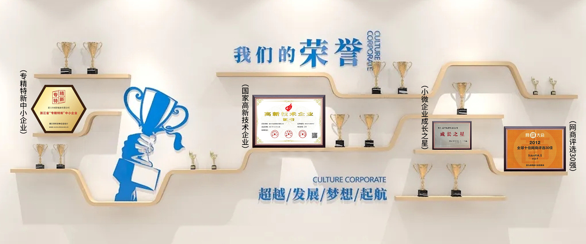 公司荣誉1(1)