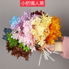 ���滨���˲� ��c�b��İ��� �ٻ���Y������Ƶ�·���廨���~