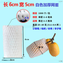 ˮ���׾W�J���ҾW�׽z�ϱ��o�W�����b���ӾW��ɏ�F����W���o�׈A