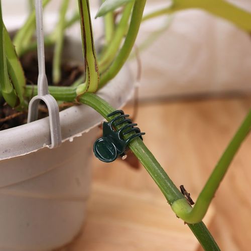 Orchid clip, traceless branch holder, indoor vine clip, grab hook artifact, plant green radish growing upward, butterfly clip
