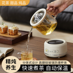 Health Pot Multi-Functional Thermal Insulation Small Office Fully Automatic Thickened Glass Cup Boiling Water Tea Kettle Electric Heating Cup