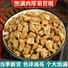 野山菊苣根茶菊苣包邮阔叶菊苣粉根决明子桑叶菊苣栀子茶真货