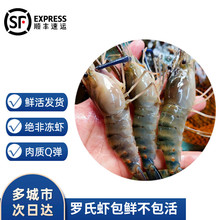 �g�؞� �_���r ����̖�_���r�r����^�r�_�����r��ˮ�r���ͶY�Y��