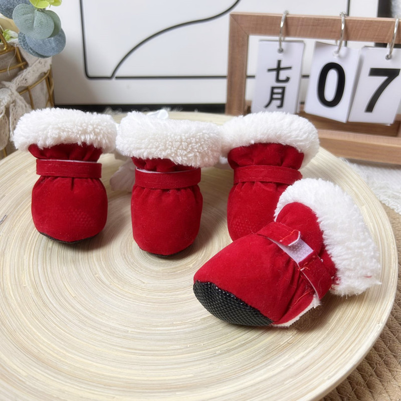 빨간 면화