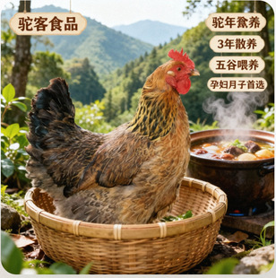 �r��ɢ�B�������u�����ߵ��u�F�����ӟ��������u�r��ֱ�����r���u