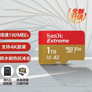 �m���tf��1tb�ȴ濨���ٴ惦������4K�Ĕzȫ��A2���ܸ���1T