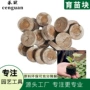 介质跨境压缩jiffyy营养土