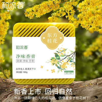 Car Aromatherapy Household Indoor Lasting: Car Perfume Aromatherapy