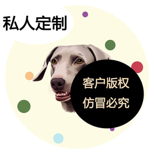 13̖����2����-���ΈA����z�qtpr�׌��������ץ�əCϴ�؉|��̺