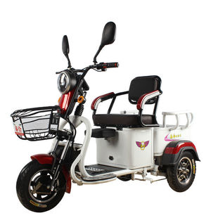 雙人電動三輪車家用新款小型接送孩子老人老年拉貨載重王電瓶三輪