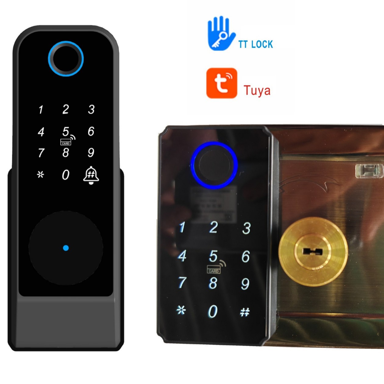 Huella dactilar doble/prenda impermeable/huella dactilar, contraseña, Tarjeta del golpe fuerte, llave, mini contraseña temporal del programa