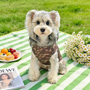 ѩ�{���·���С���·����ı��������������̩���Բʱ���