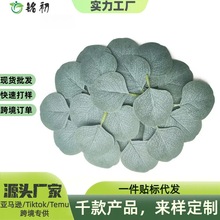 �����ȼ����~Ƭ���R�d�Gֲ���~�����廨��������ȼ�������~Ƭ