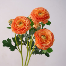 �ָб�ʪ��ëݹС���·��浥֦¶���Ҿ�װ�λ�ƿ���ղ廨�ٻ��ڼ�