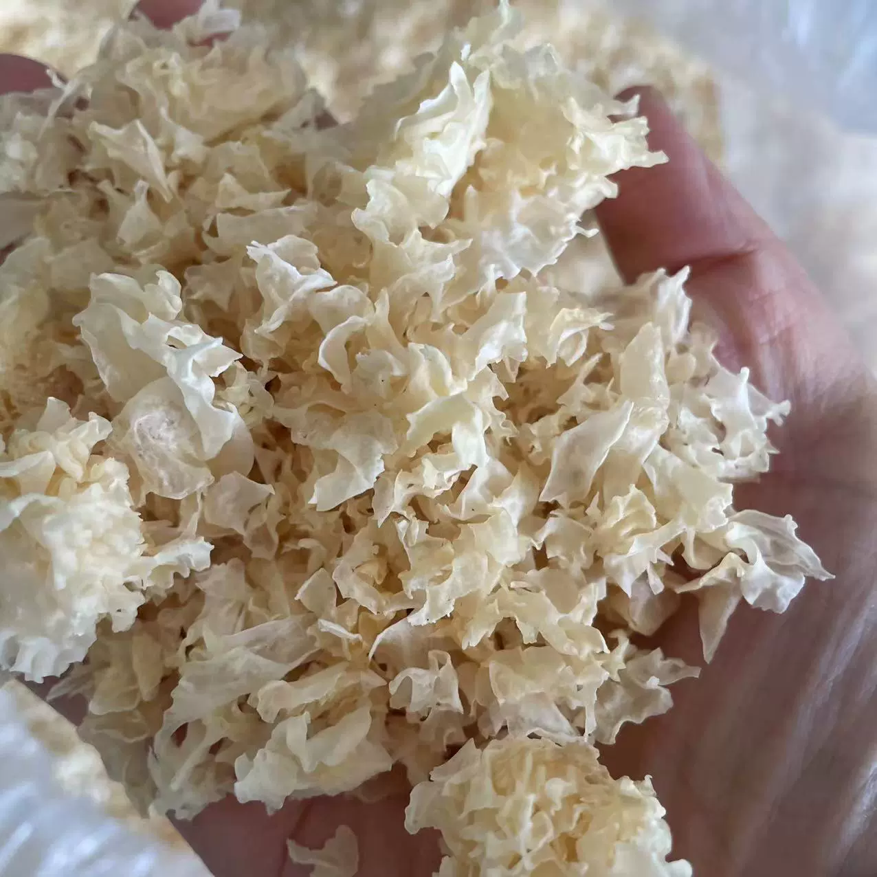 银耳碎片银耳干货糯耳碎雪耳白木耳特产出胶批发一件代发
