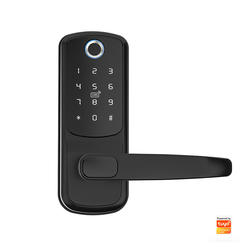 검은색 지문 낙서 잠금 장치