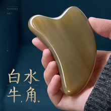 Sl10-12mmˮţǹ ĘĦ Ȼţǲ|