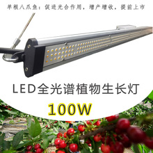 ��˶����LEDֲ��������100W����ֲ������嵵ȫ���װ�צ��ֲ���