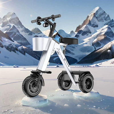 Cross-Border Use, Qatlanan elektrik velosipedlər - 36v10a-450w-double