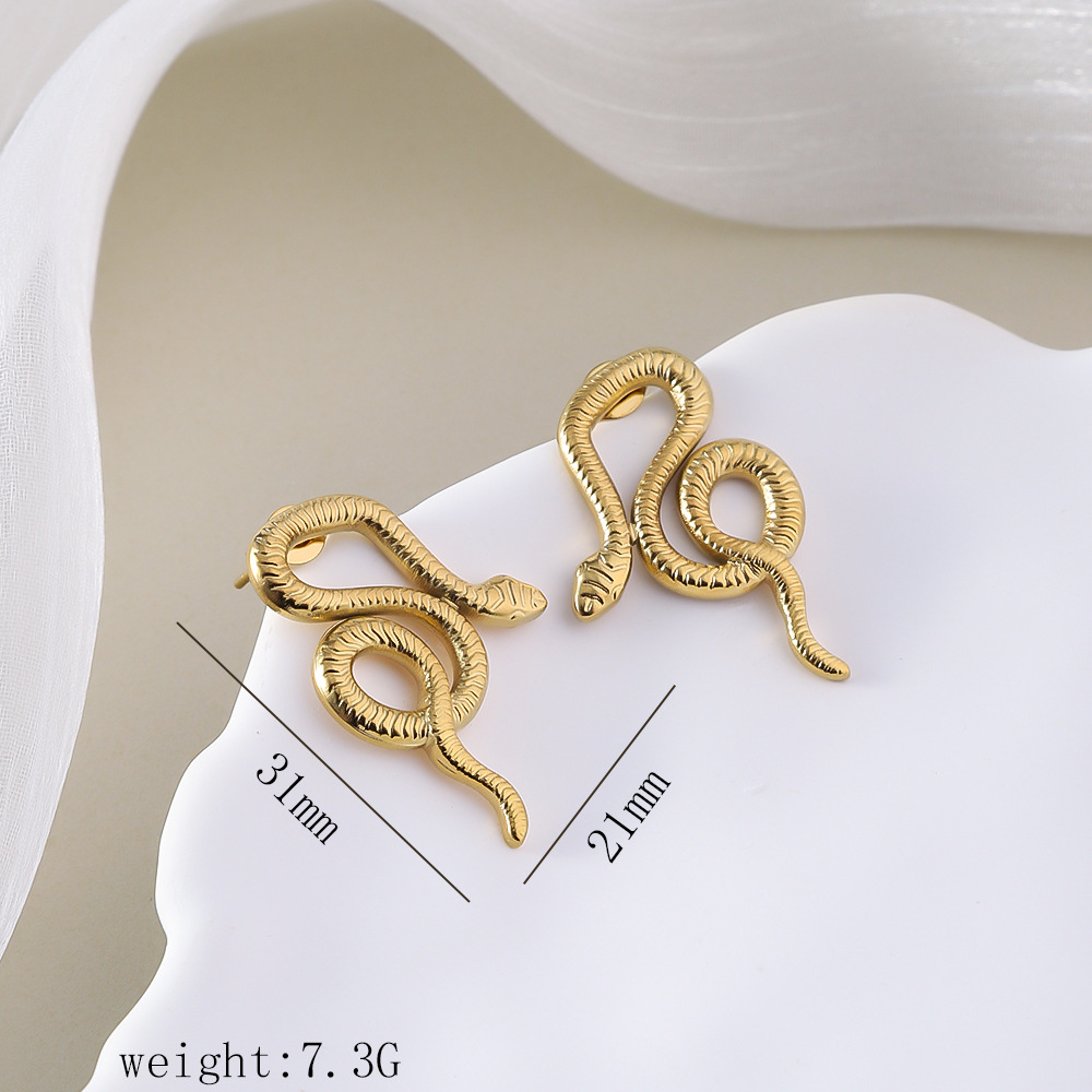 1 Pair Simple Style Commute Geometric Heart Shape Plating Titanium Steel Drop Earrings Earrings Ear Studs display picture 16