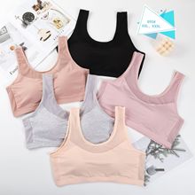 ��������һ�w�̶������|���m���������־W�污���ʽ�������l