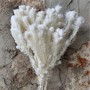 ���W�L���������Z�q�ɻ��ֹ���diy�����Ĕz���߼Ҿ��b�ƿ�[̨