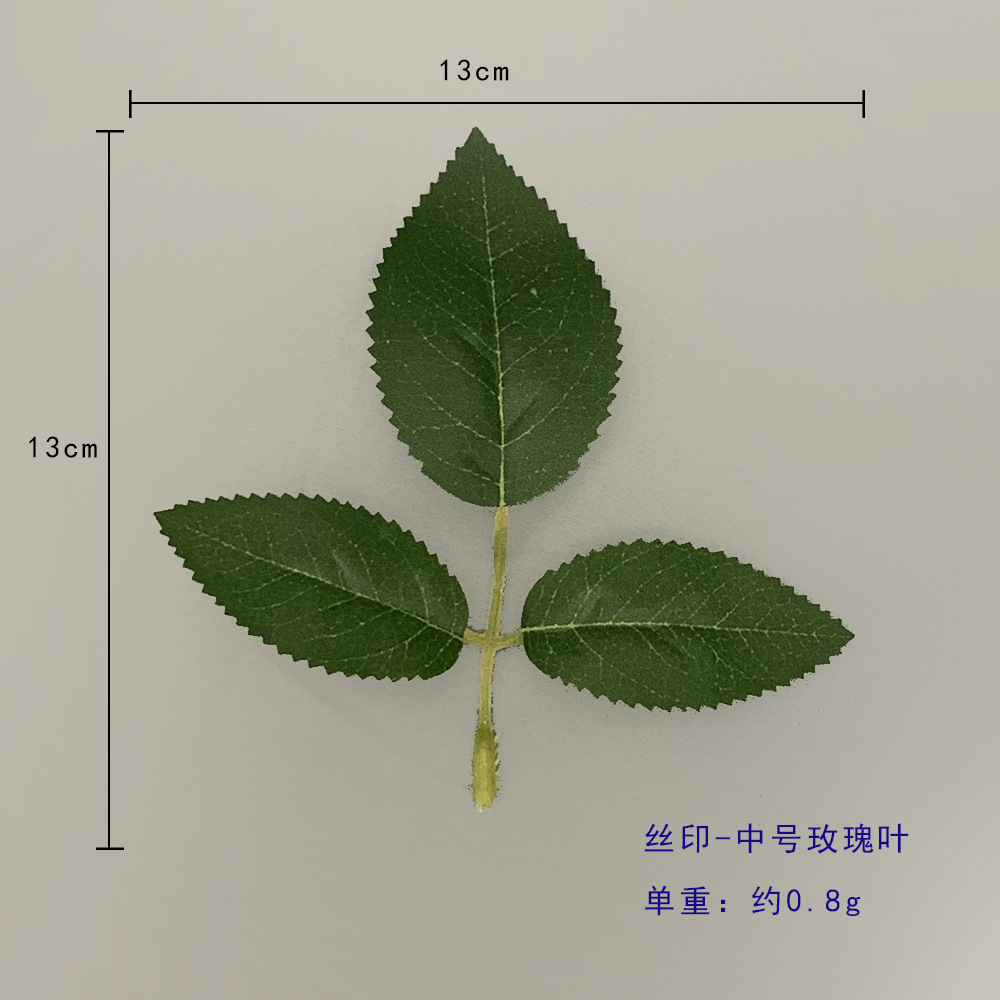 중간 장미 잎