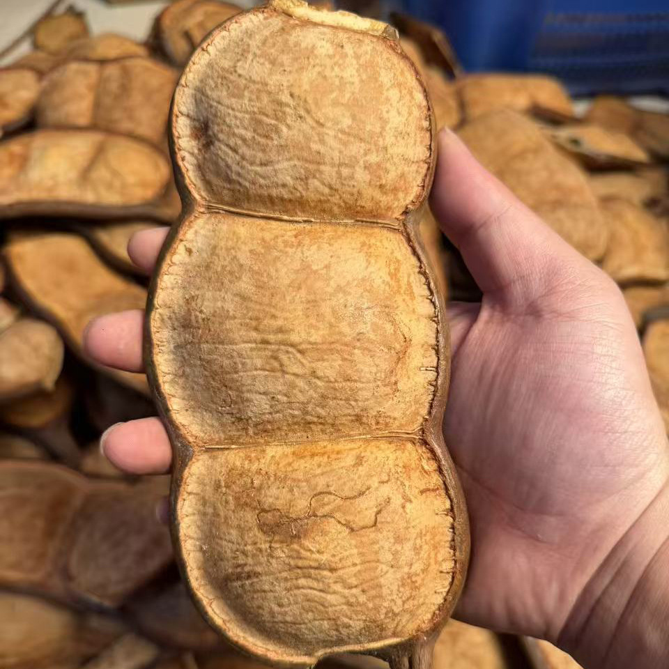Tres frijoles de vaina de alta calidad