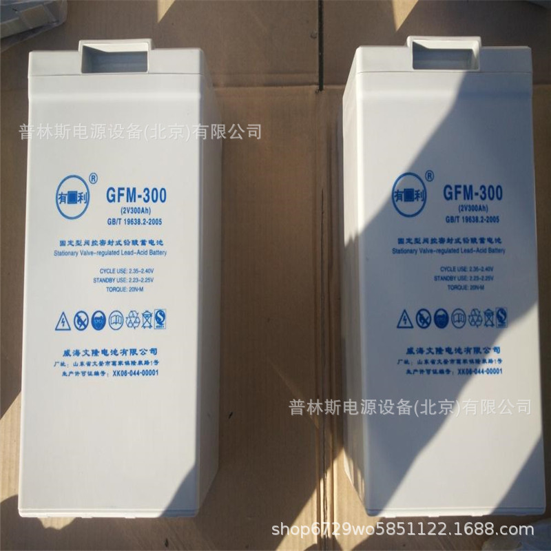 有利蓄电池GFM-300 YOULI蓄电池 2V300AH储能免维护铅酸蓄电池