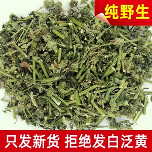 [甄选野生益母草材新鲜晒干月经姨妈泡茶干草药用500g包邮l]