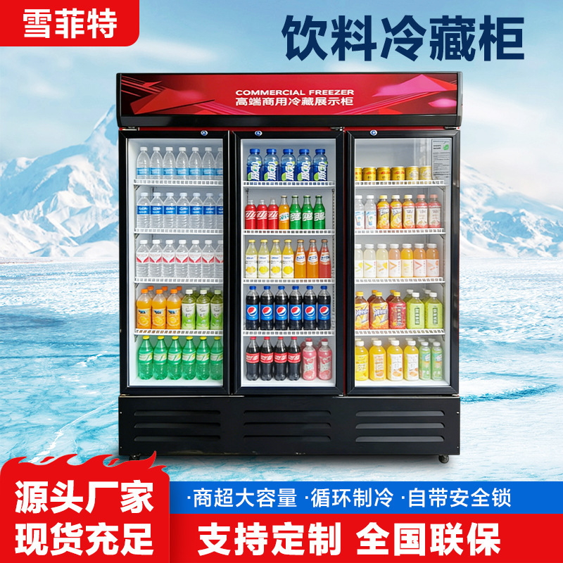 Commercial Refrigerated Display Cabinet, Beverage and Beer Freezer, Vegetable and Fruit Vertical Freezer, Single and Double Door Refrigerator