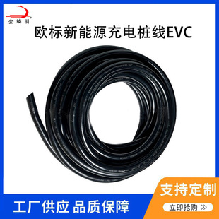 EVC European standard New Energy cable charging gun cable new energy vehicle charging gun cable wire cable