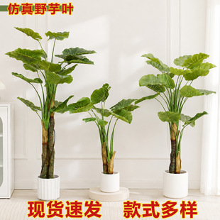 ����Ұ���~��������������ޙ����쾰�Gֲ�҃ȿ͏dܛ�b�b�ֲ��
