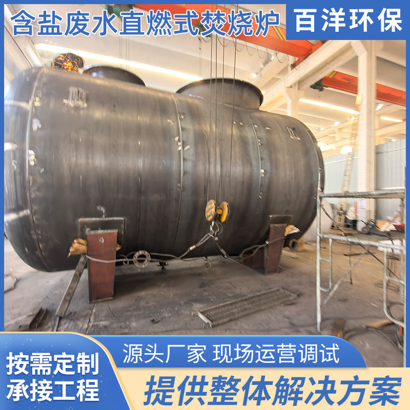 含盐废水直燃式焚烧炉一体机废液处理蓄热焚烧炉工业催化燃烧设备