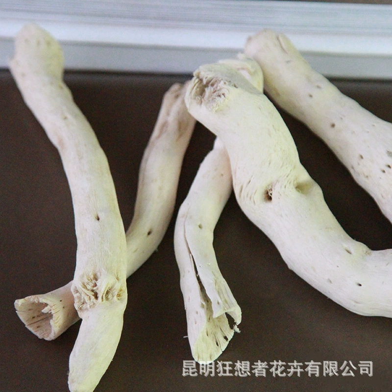 Dry Flower DIY Materials [Dry Fruit] Madman Sommelier Candle Plant Simagon Handmade Class Dry Flower Dry Branches Material