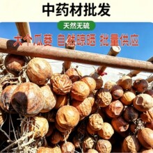 ��ș��ȫ���V���l500g��؛�������ό����V ���VƤ�Ƀ��o����