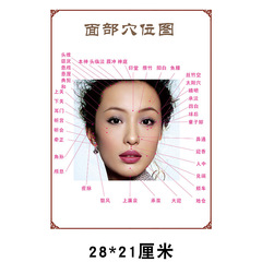 Facial massage acupoint chart, standard human meridian acupoint chart, color double-sided hand and foot acupoint chart, moxibustion chart