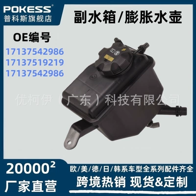 17137542986 Expansion Water Tank Coolant Reservoir Suitable for Bmw 5 and 6 Series Car Expansion Water Tank (Water tank)