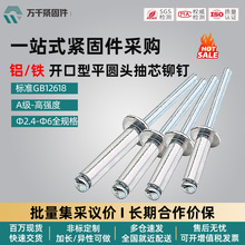 铝/铁开口型平圆头抽芯铆钉 φ2.4-φ6铝拉铆钉GB/T12618支持定制