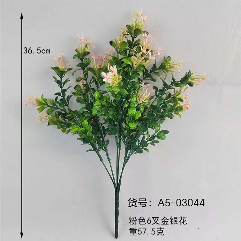 Honeysuckle rosa