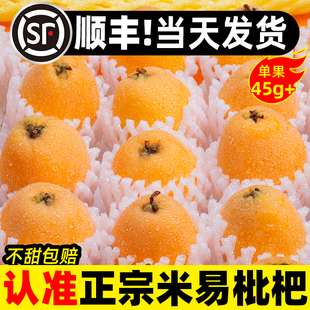 �Ĵ���֦���Fժ��������5�ﮔ�����rˮ��������ù�������]���l