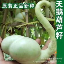 ���Z���J�N�Ӵ�ƺ��J�N���^�p���J�N������[�����J�N���^�p���J